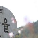 주천면 하주마을 이미지