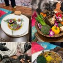 미르 사마와 함께] - 청담 반려견 오마카세/애견 오마카세 후기/애견 오마카세/퍼피라운지/퍼피라운지 후기