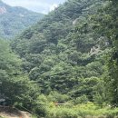 청주민박 | 청주근교계곡 | 취사가능한 서원계곡 주말 후기 (자리,주차)