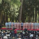 숲의선율 경남에나뉴스