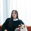 인성 카카오 검색결과