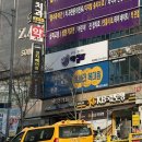 코지헤어룸 - 창원시 마산회원구 | 코지헤어룸