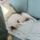 글헤는밤 이미지