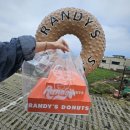 라포르엘랜디스도넛애월점 | 제주 랜디스도넛 애월점 후기｜애월카페거리 도넛 맛집 내돈내산