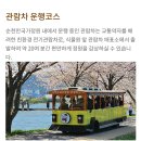 순천만국가정원 습지센터 소회의실 5(1층) | 발달장애인 야외 활동 장소 추천 1편(전남 순천-순천만국가정원, 순천만 습지)