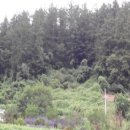 여주-1031 이미지