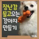 강아지 터그놀이♥ 장난감 물고오는 강아지 만들기