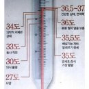 36.5 체온다이어트