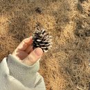 구읍리 석불입상 | [청성역사공원] 포천 가볼만한곳 산책하기 좋은 반월성둘레길 포천시민대종 주차무료