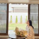 스테이로이 이미지