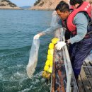 해삼수산 이미지