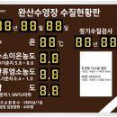 전북광고네온