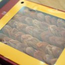 규진농장 이미지