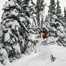 Skip the C 이미지