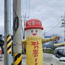 119 | (충남 아산) 어디서 많이 먹던 짬뽕 맛 &#34;짬뽕119&#34; 후기 (짬뽕밥)