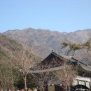 사나사주차장 이미지