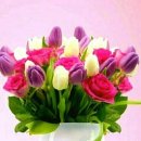 하나 둘 셋 넷 이미지