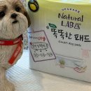 꿈이랑펫 이미지