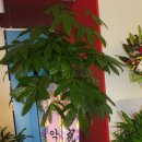 (주)동해SK텔래콤 이미지