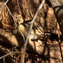 북평6길 이미지