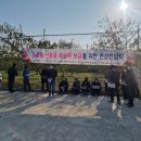 의성군농업기술센터(금성지소) | 복숭아 신육성품종 &#39;옐로드림&#39;