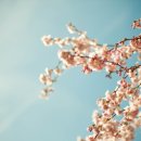 소울트립
