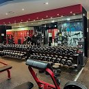 241GYM | 건대헬스장 선택 전 필수 체크리스트 5가지 실패 없는 비교 꿀팁