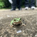 870기 4대대 030805 전호영 이미지