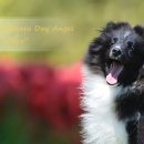 라임레이디 이미지