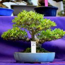 청수6로 이미지