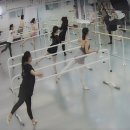 아르떼무용학원 이미지