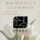 순수상조 이미지