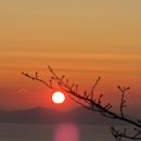 새론의원 이미지