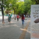 화정문화의거리 이미지