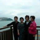 가천초등학교 이미지