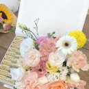 사파동377 이미지