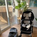 부가부 Lynx Bugaboo Lynx 유모차 판매합니다 이미지