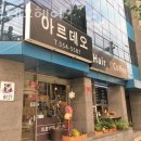 아차산로405번길 | 교문동 미용실 아르데오헤어 가격 후기