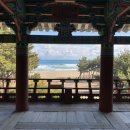 솔숲과 바다 이미지