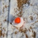 양평TPC GC 이미지