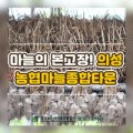 의성농협유통사업소 이미지