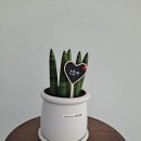 새서울화원