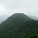 용현자연휴양림 이미지