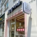 익산 영등동 알밤이네 강아지 애견미용실 추천 내돈내산