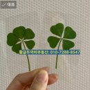 주공카센터 이미지