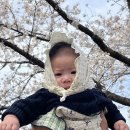 삼촌하우스