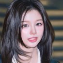 더에스헤어 이미지