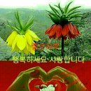 경춘로 이미지