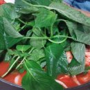 내장탕전문 이미지