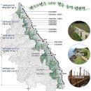 관동팔경 녹색경관길 건설이코노미뉴스